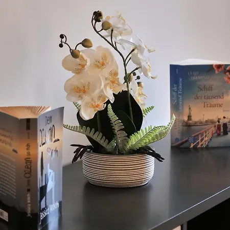 Schiller Ii - Zentrum