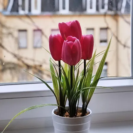 Apartment Schiller Ii - Zentrum