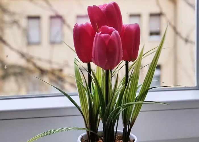 Appartement Schiller Ii - Zentrum